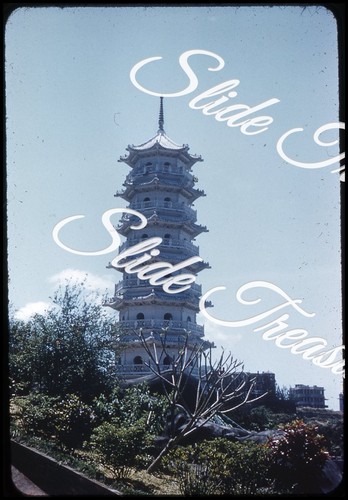 Balsamo tigre hong kong - di,