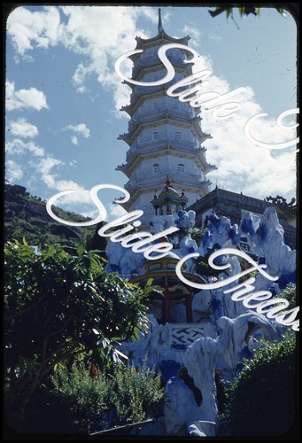 Hong kong balsamo tigre - balsamo, di