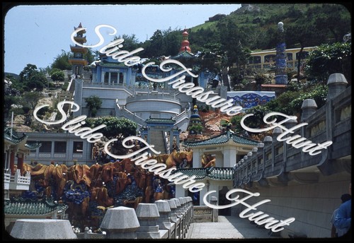 Hong kong balsamo tigre - hong,