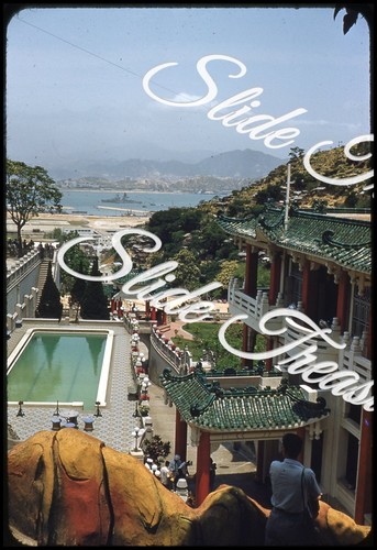 Hong kong balsamo - kong, tigre