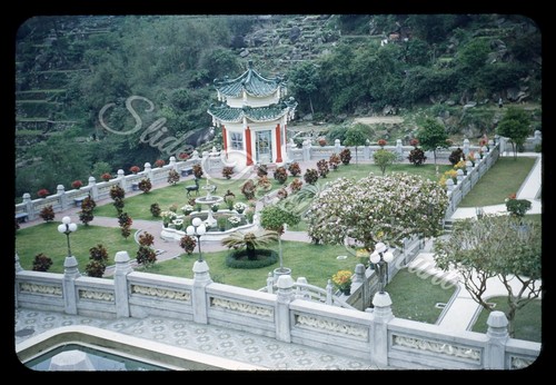 Balsamo tigre giardino hong - tigre,