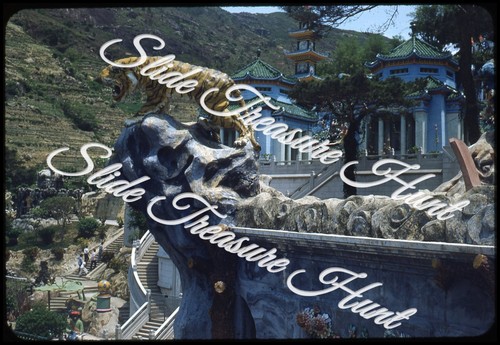 Hong kong balsamo tigre - kong,