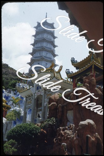 Hong kong balsamo tigre - kong,