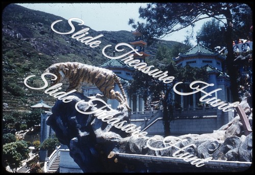 Balsamo tigre hong kong - di,